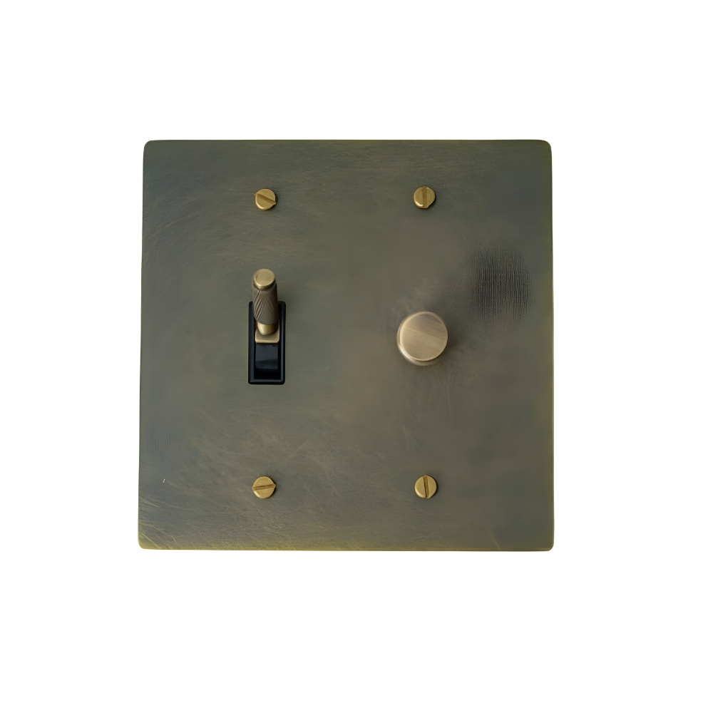 KLAS / Messing combinatie dimmer en stopcontact (2-voudig)