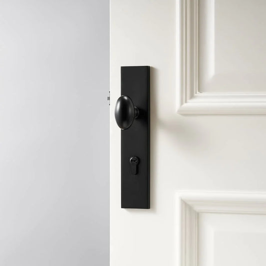 DINA / Brass Door Knobs with Backplate