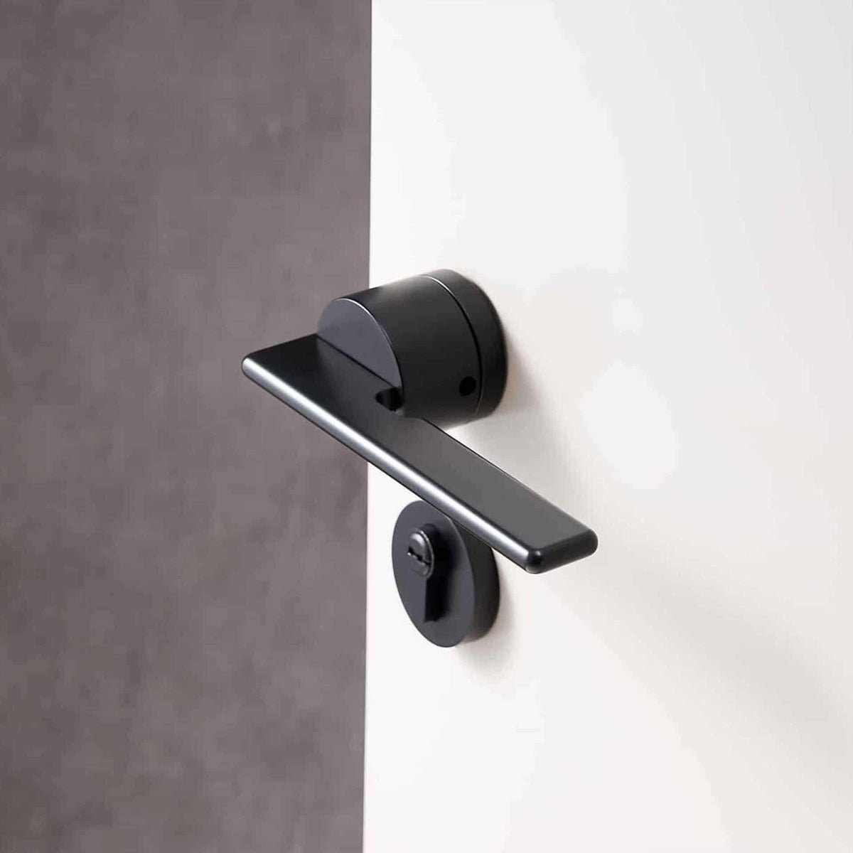 SABANI / SOLID BRASS / DOOR HANDLES - Handle Shop Couture 