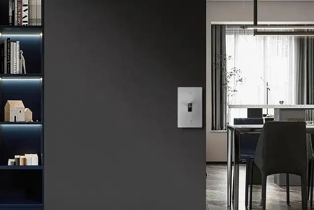 Brushed Nickel switch plate, Kippschalter